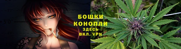 сатива Абаза