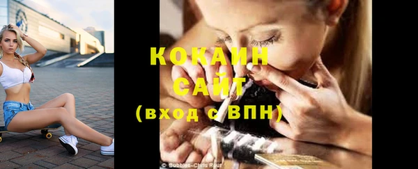 сатива Абаза
