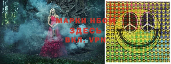 сатива Абаза