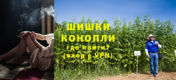 сатива Абаза