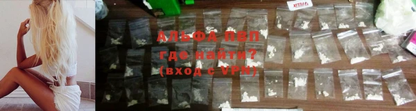 сатива Абаза