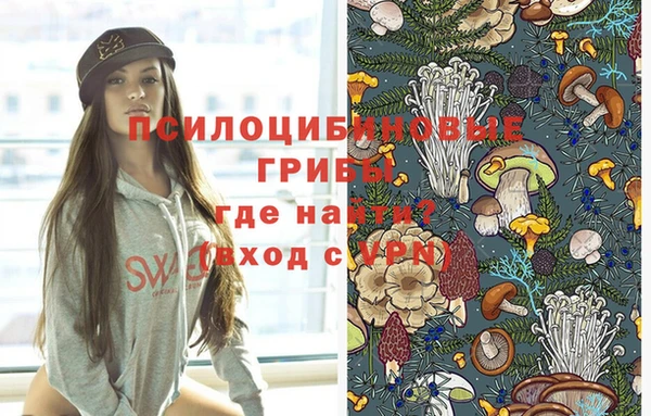 apvp Нижневартовск