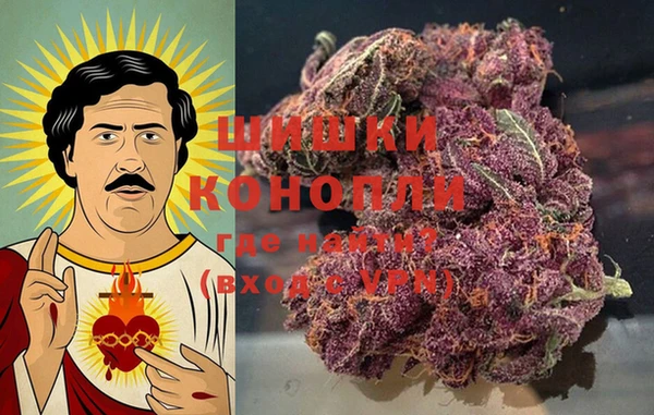 сатива Абаза