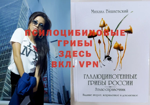 сатива Абаза